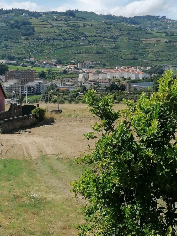 Vivenda Oliveira - Alojamento Local Lamego Eksteriør billede