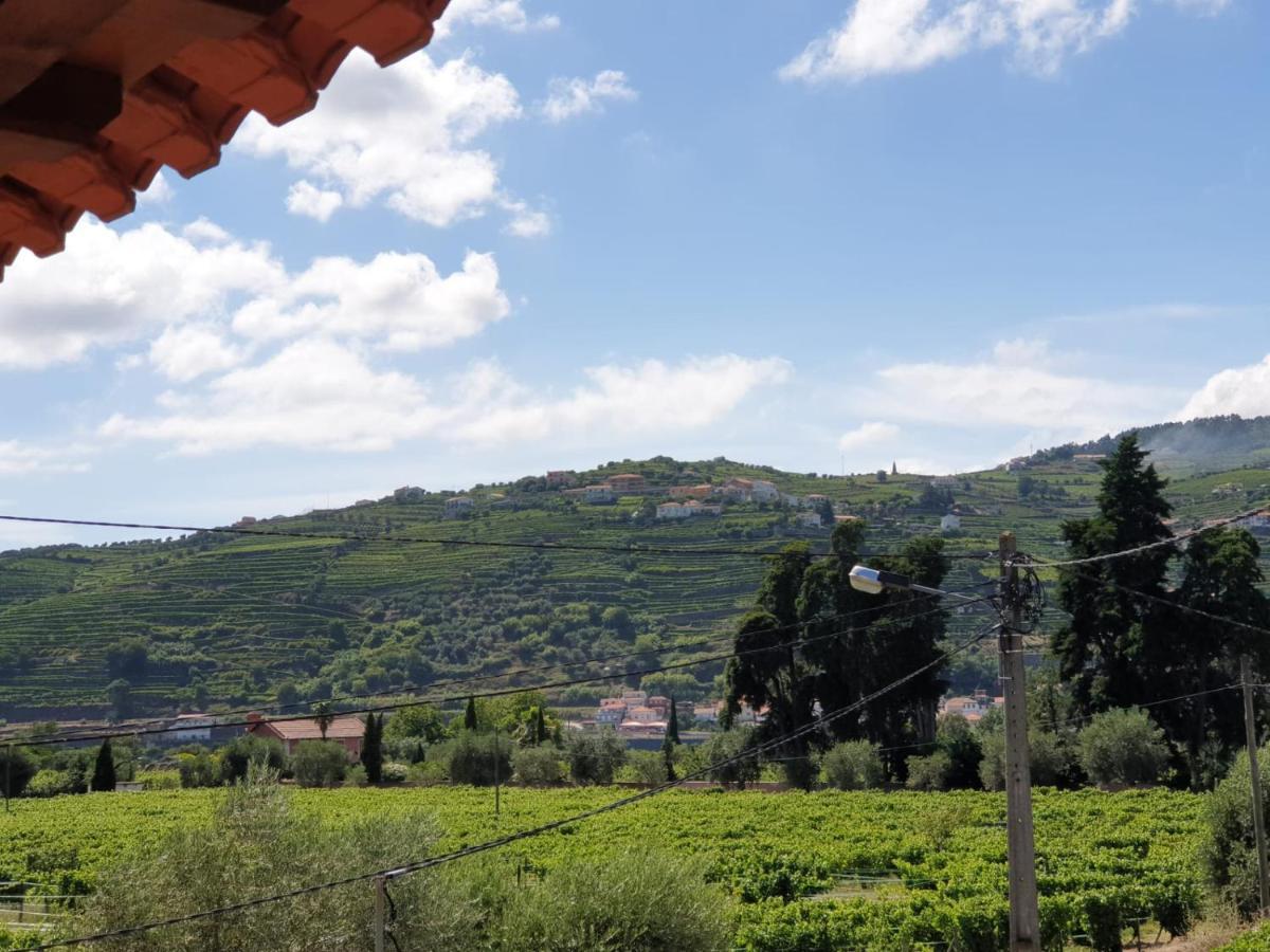 Vivenda Oliveira - Alojamento Local Lamego Eksteriør billede